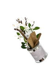 Load image into Gallery viewer, Cozy